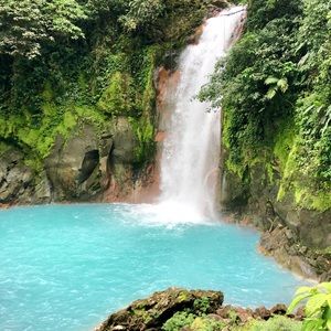 Meet your Posher, Kira